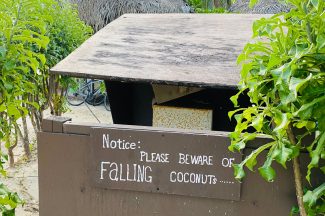 Thumbnail for the post titled: January Prayer (Cook Isl)