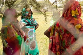 Thumbnail for the post titled: 16 Days [6]