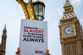 Thumbnail for the post titled: 16 Days [8]