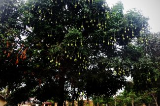 Thumbnail for the post titled: April Prayers